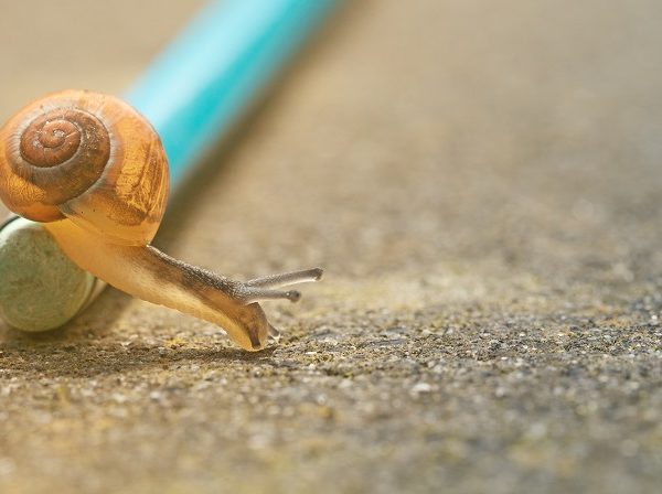 Pensar más despacio: beneficios